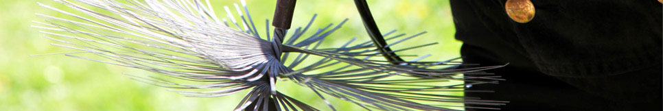 Banner - Walter Lange